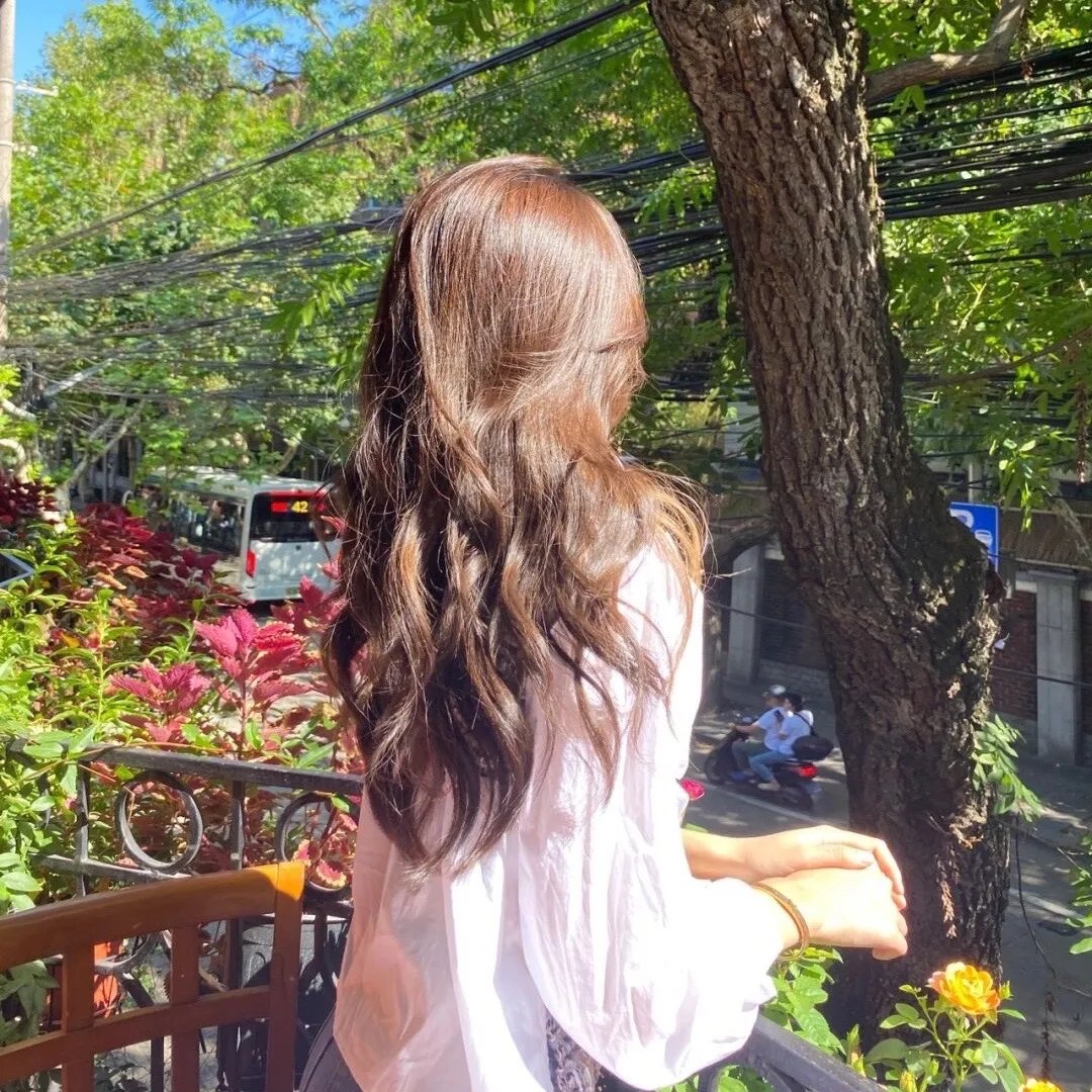 巨齿鲨